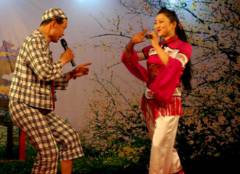 休闲二人转舞台装表演练习曲艺戏曲